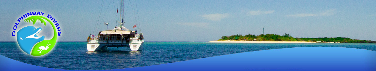 Dolphinbay-divers